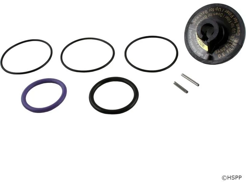 Kit de reparación de válvula de compuerta para SVLV8, SVLV2 y BWVL-SLD, compatible con Jandy