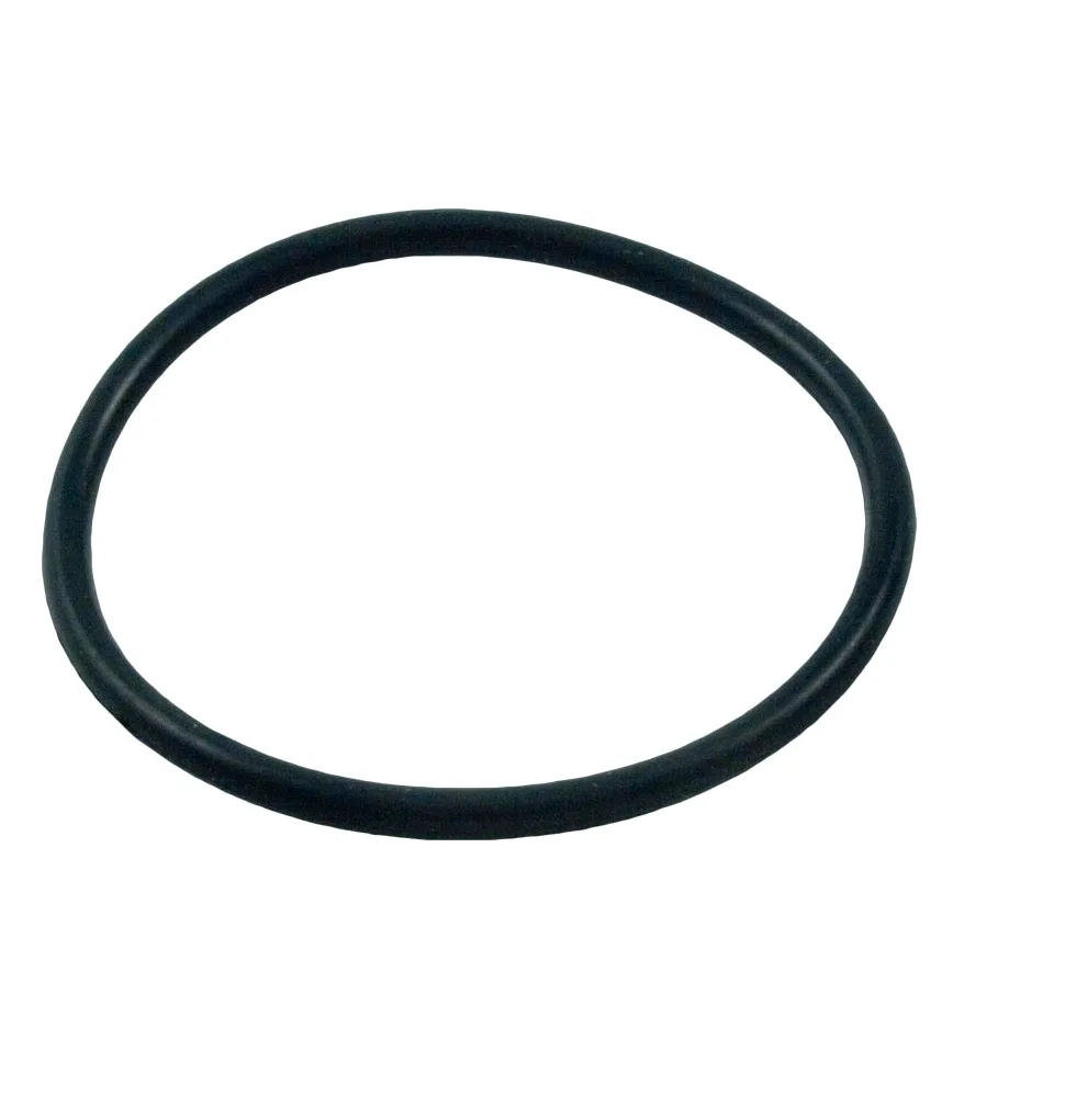 Strainer Pot O-Ring, 2-3/8-Inch ID, for Dynamo, Replacement for Pentair