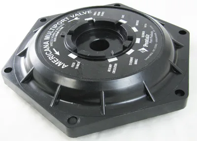 Lid with Label, 1-1/2-Inch, Black, for Multiport Valves, Replacement for Pentair