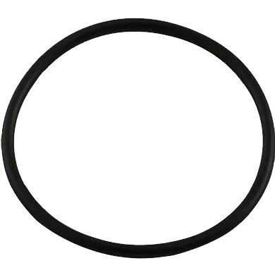 Sight Glass O-Ring, Replacement for Pentair