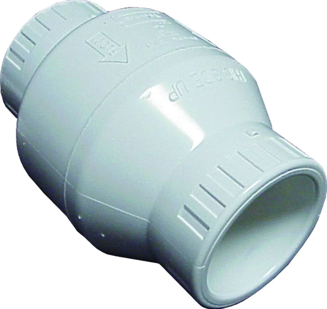 Utility Swing Check Valve, 2-Inch, Socket, EPDM