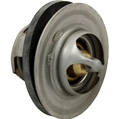 Unitherm Governor for Polymer Heat Exchanger, Replacement for Raypak