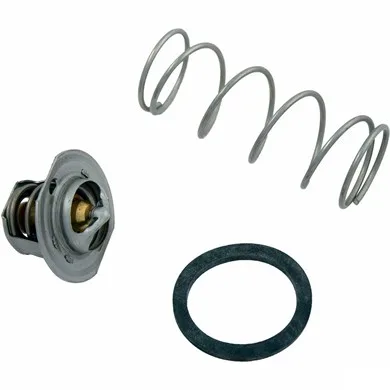 Unitherm Governor, Replacement for Raypak