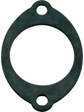 Flow Valve Gasket, Replacement for Pentair