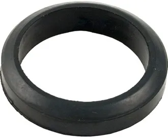 Flange Gasket, 2-Inch, Replacement for Teledyne Laars
