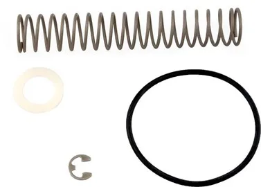 Bypass Spring, Replacement for Teledyne Laars Heaters