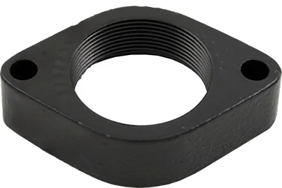 Flange, 2-Inch, Replacement for Teledyne Laars