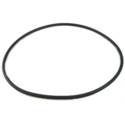 Lid O-Ring for 22355 Multiport Valve