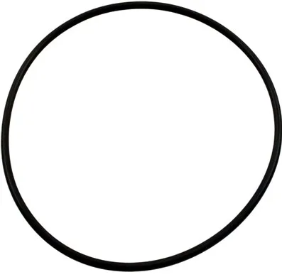 O-Ring, 6-3/4-Inch ID, 3/16-Inch, Compatible with Jandy SFTM Top Mount Valves