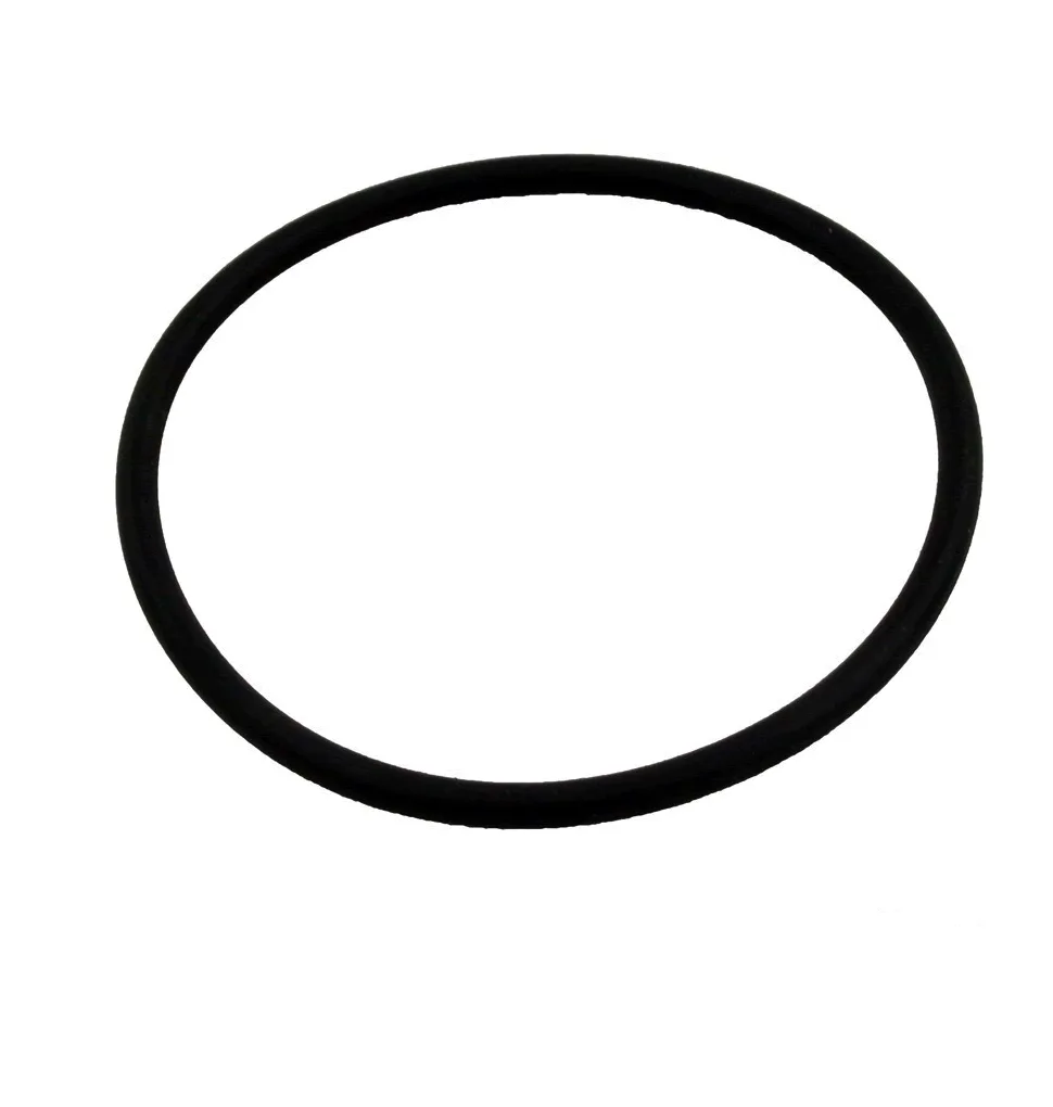 Trap Cover O-Ring, 5-Inch, for Aqua-Flo A Series Pumps