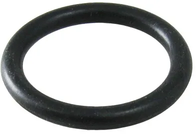 Shaft O-Ring for HR-21, HR-25 and HR-31 Sand Filters