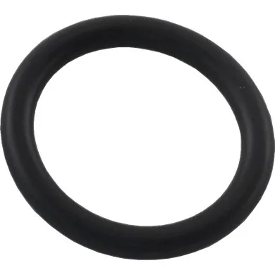 Gasket, Compatible with Astral Millenium Side Mount Sand Filter