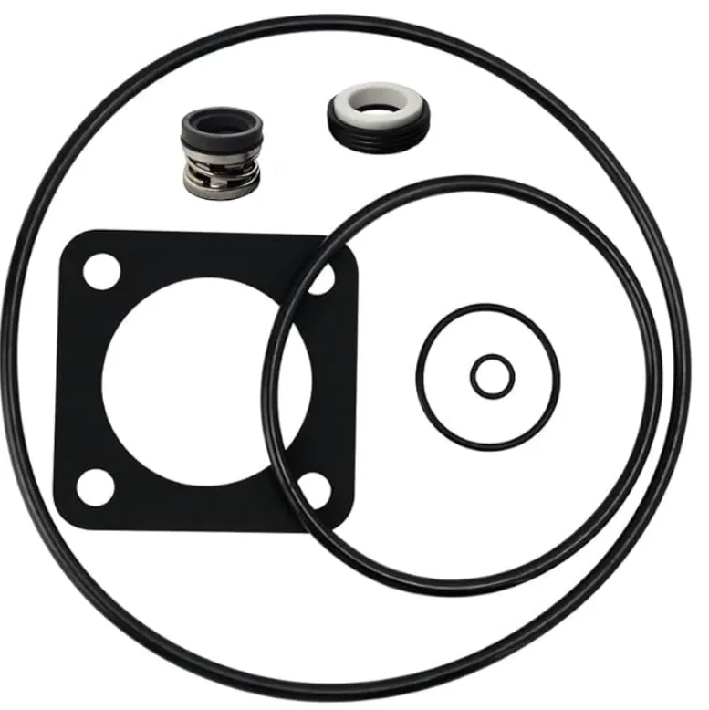 P2RA & P2R DuraGlas/Max-E-Glas Pump Rebuild Kit